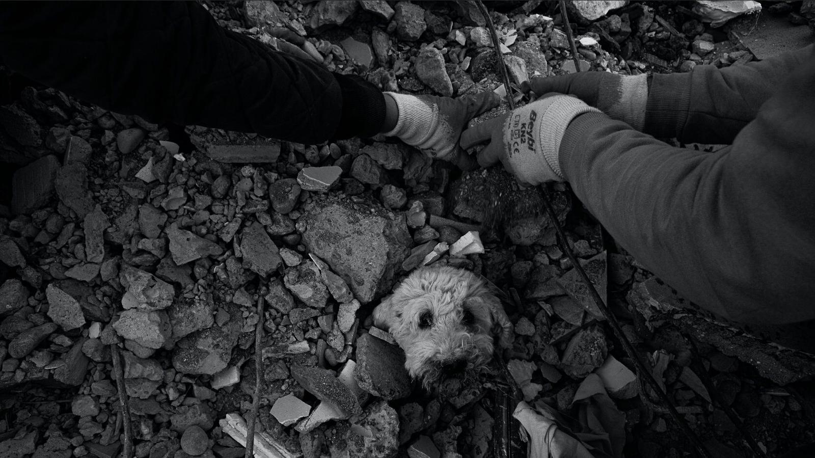 6 Şubat Deprem Sergisi (1)