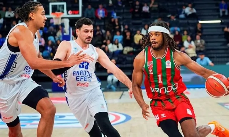 8022026154027 7738154 15 40 1 750X450