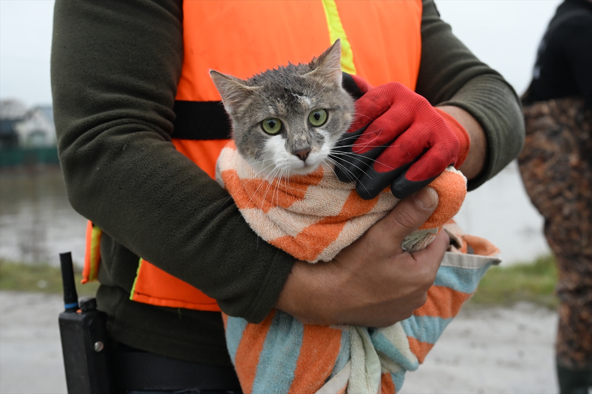 A A 20260208 40494823 40494819 M E R I C N E H R I N I N T A S T I G I B O L G E D E M A H S U R K A L A N H A Y V A N L A R K U R T A R I L D I