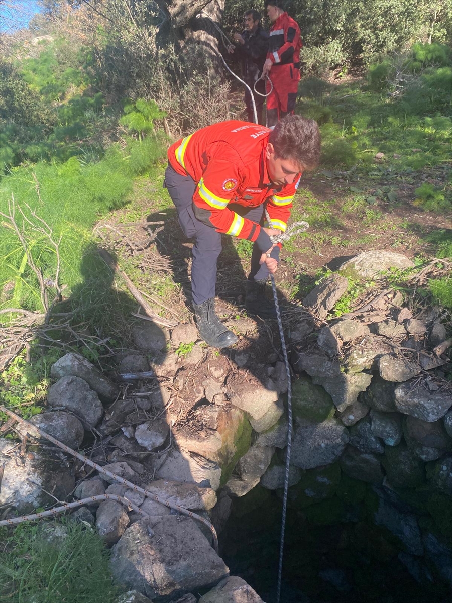 A A 20260208 40495604 40495601 B O D R U M D A K U Y U Y A D U S E N B U Z A G I K U R T A R I L D I