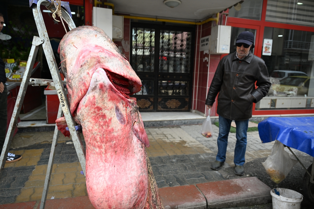 A A 20260211 40522211 40522208 E D I R N E D E K I M E R I C N E H R I N D E 102 K I L O G R A M L I K Y A Y I N B A L I G I Y A K A L A N D I