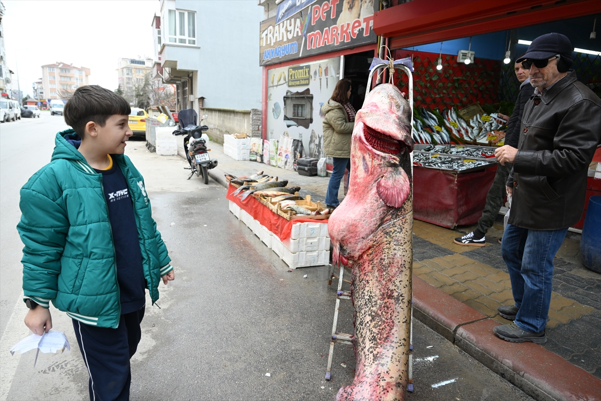 A A 20260211 40522211 40522209 E D I R N E D E K I M E R I C N E H R I N D E 102 K I L O G R A M L I K Y A Y I N B A L I G I Y A K A L A N D I