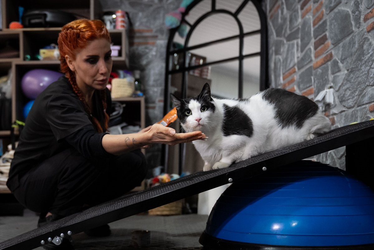 A A 20260217 40577505 40577492 T A R T I D A Y A K L A S I K 12 K I L O Y U G O R E N K E D I B O N C U K D I Y E T V E P I L A T E S L E Z A Y I F L A M A Y A C A L I S I Y O R