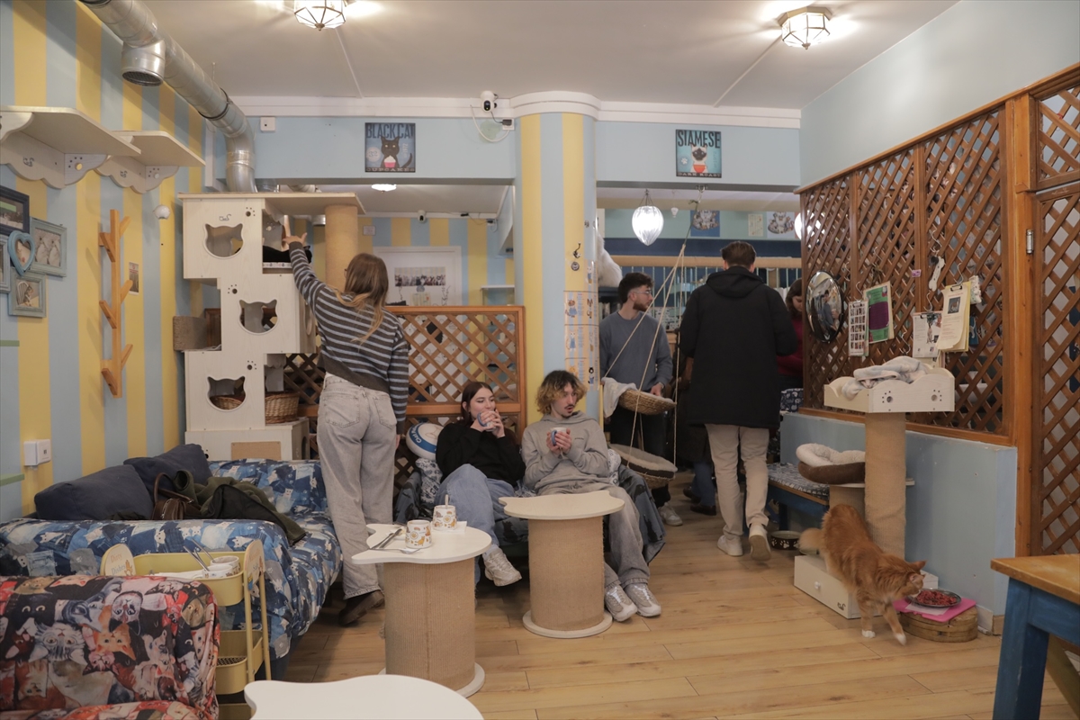 A A 20260217 40579290 40579276 P A R I S T E P A T I S E V E R L E R K A F E D E K E D I L E R L E B U L U S U Y O R