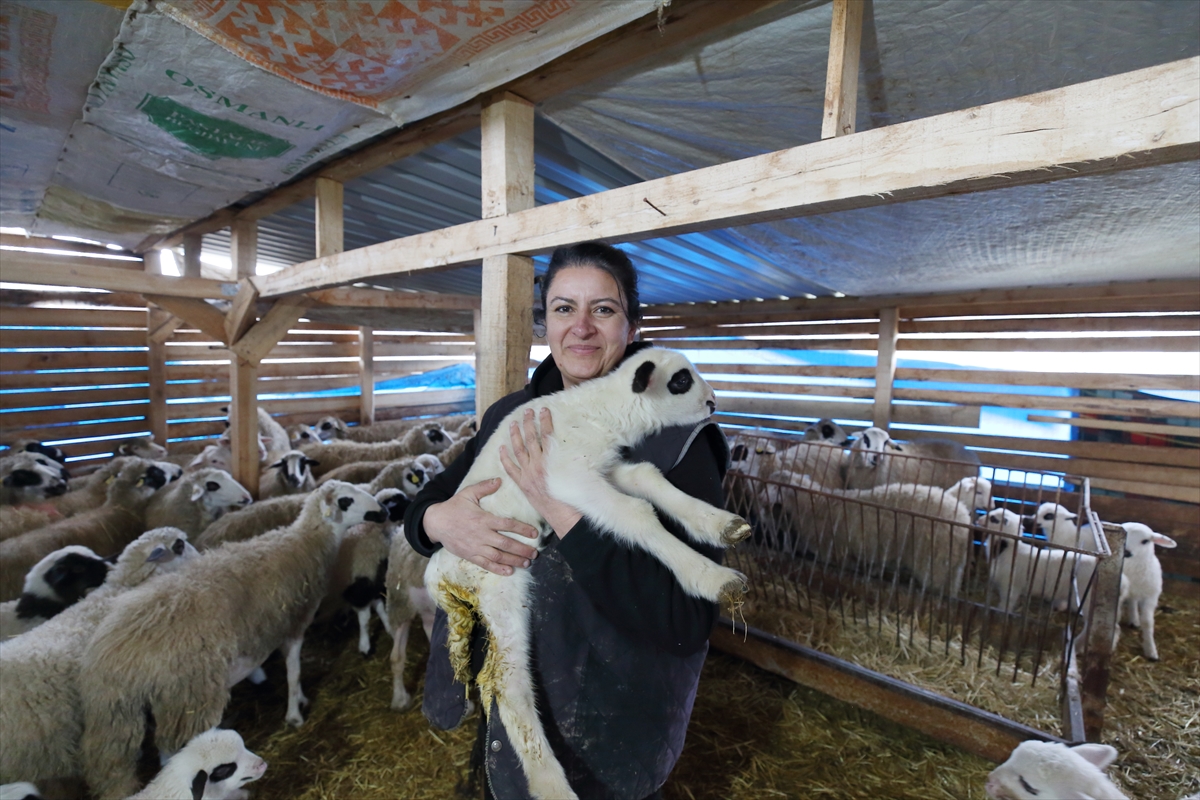 A A 20260221 40628748 40628727 S E H I R H A Y A T I N D A N S I K I L I P K O Y U N E D O N E N K A D I N H A Y V A N C I L I G A B A S L A D I