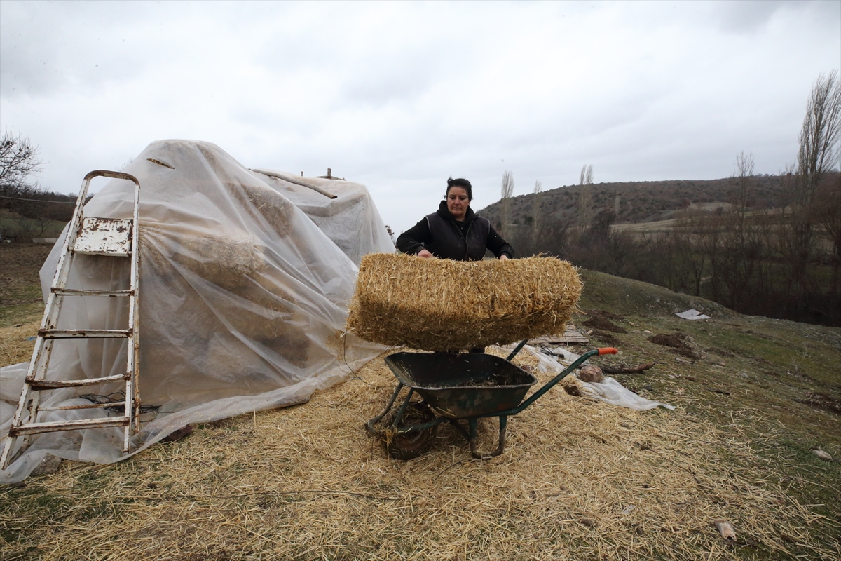 A A 20260221 40628748 40628732 S E H I R H A Y A T I N D A N S I K I L I P K O Y U N E D O N E N K A D I N H A Y V A N C I L I G A B A S L A D I