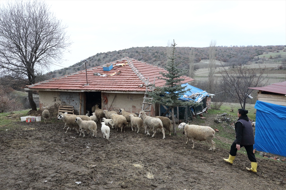 A A 20260221 40628748 40628738 S E H I R H A Y A T I N D A N S I K I L I P K O Y U N E D O N E N K A D I N H A Y V A N C I L I G A B A S L A D I