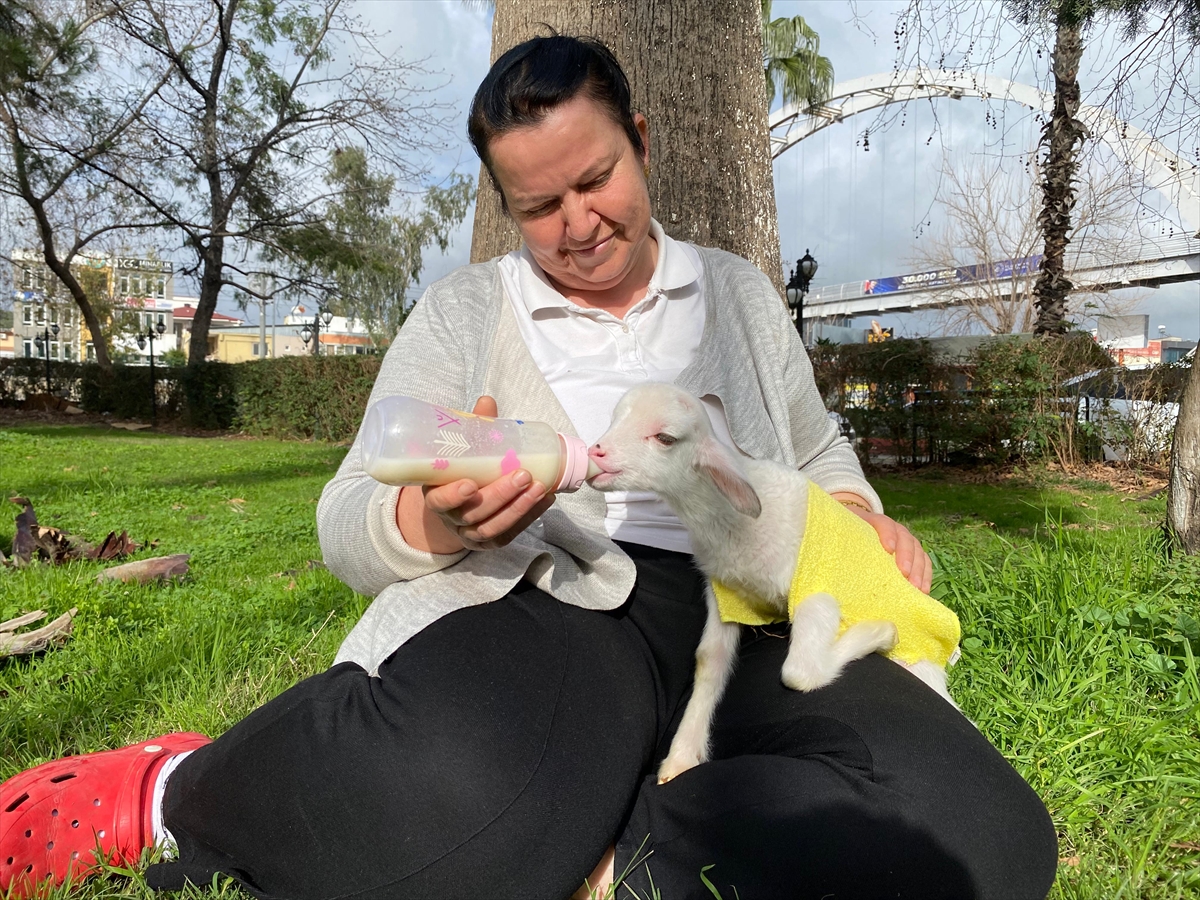 Altını Bezliyor, Parkta Sallıyor Karşınızda Kuzu Naciye! (1)