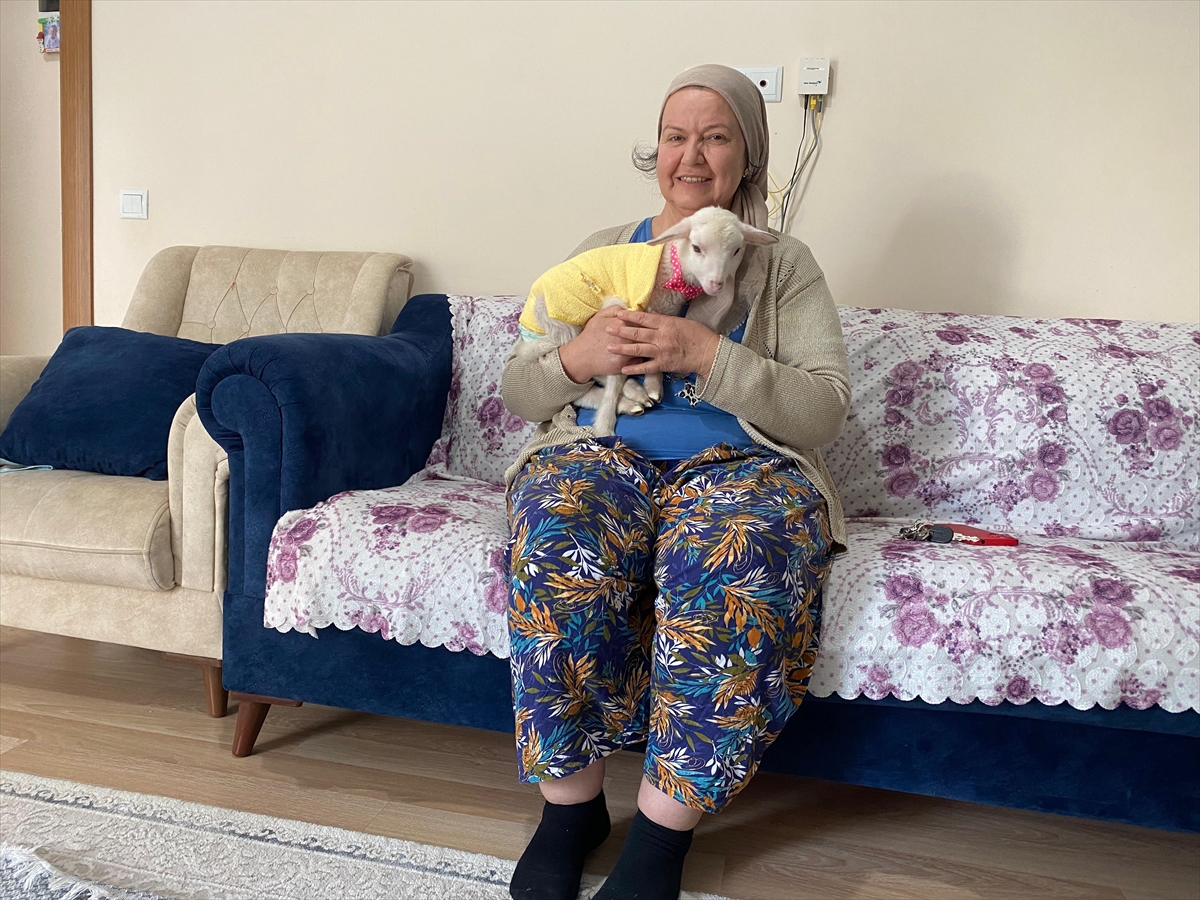 Altını Bezliyor, Parkta Sallıyor Karşınızda Kuzu Naciye! (2)