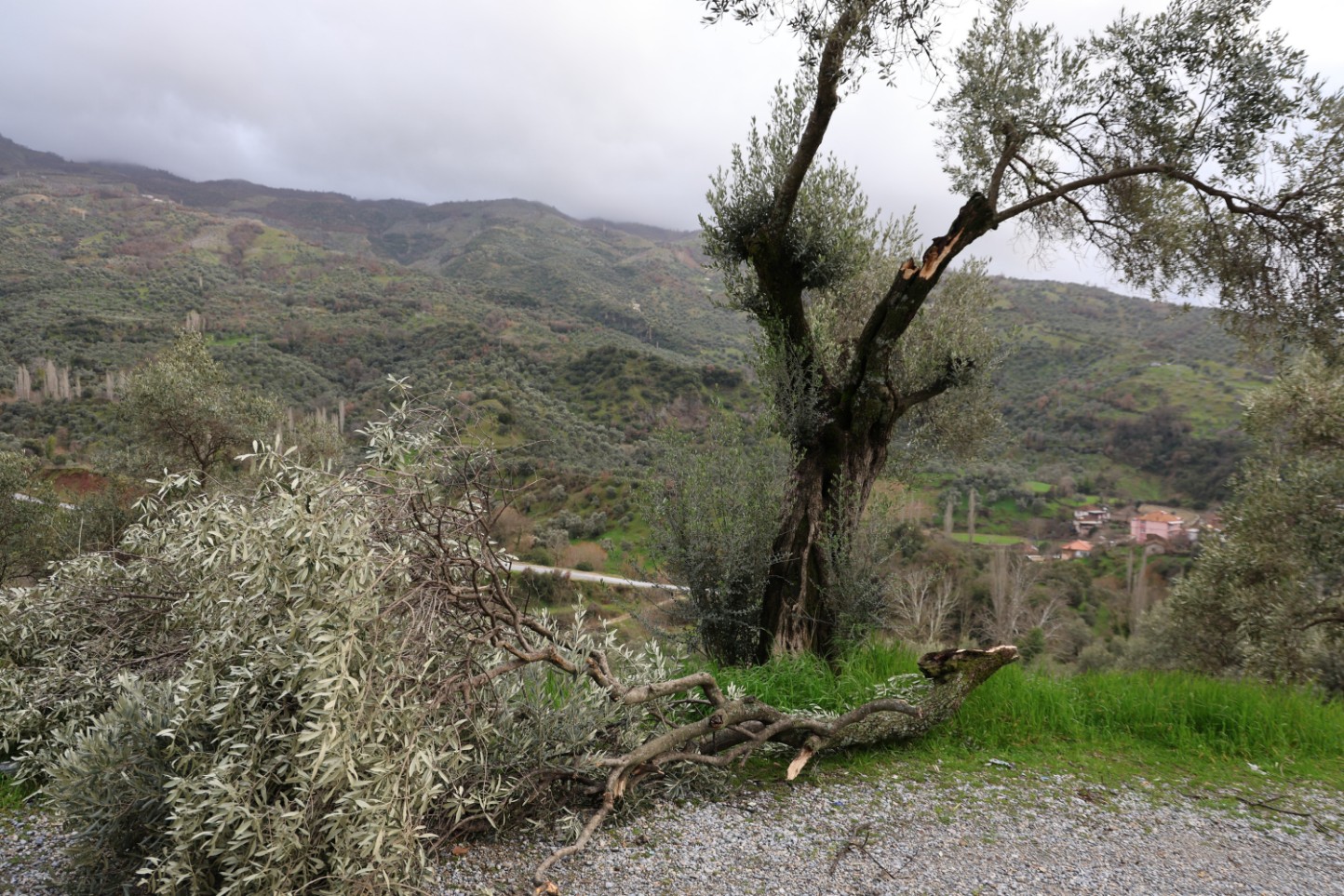 Aydinda Hortum Yikti Gecti 3