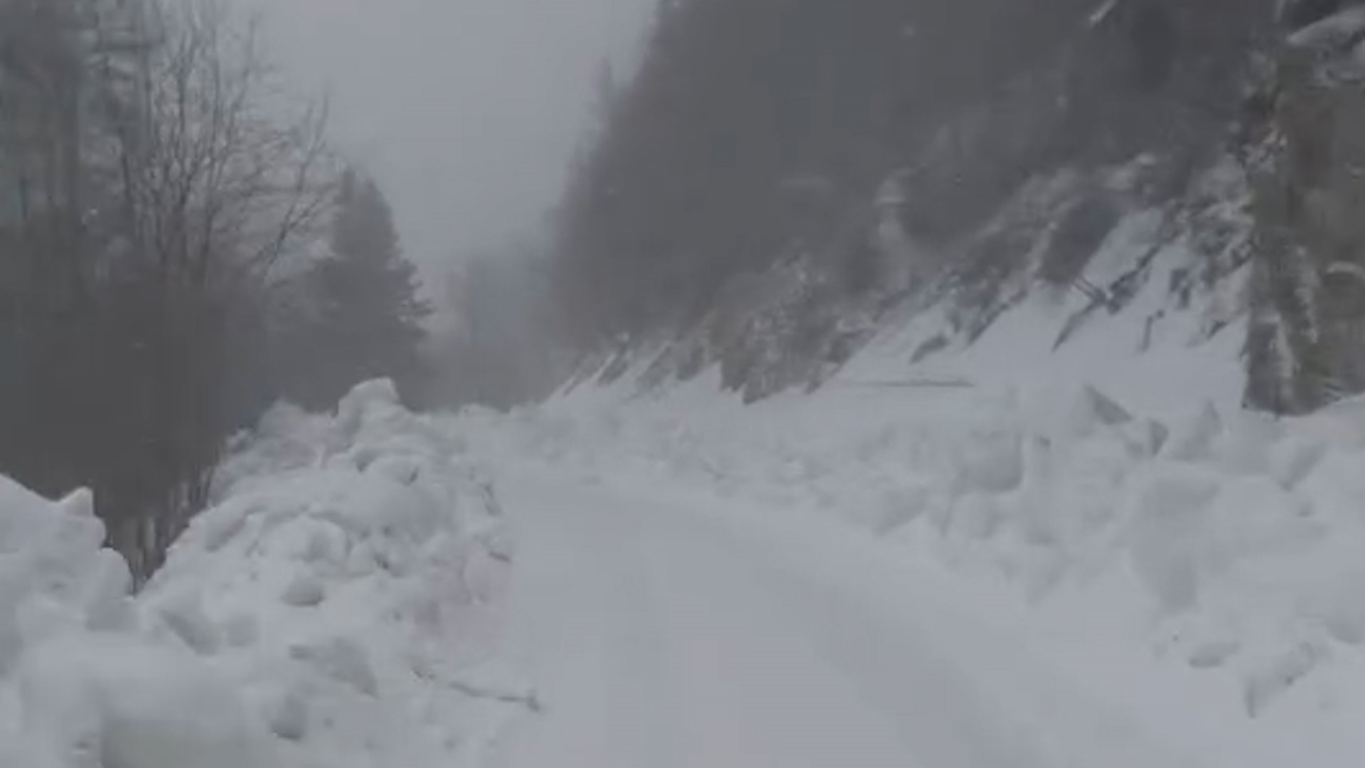 Boluyedigöller55622