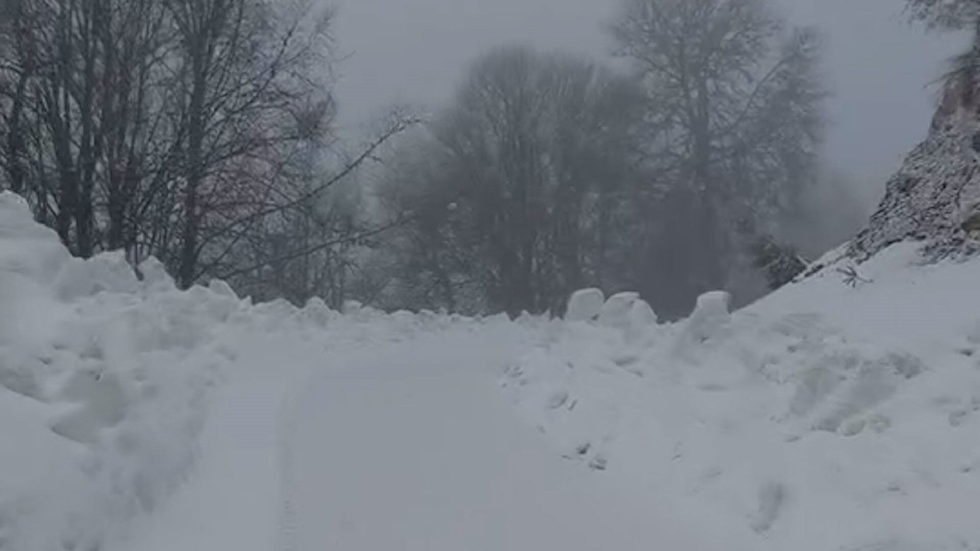 Boluyedigöller55623