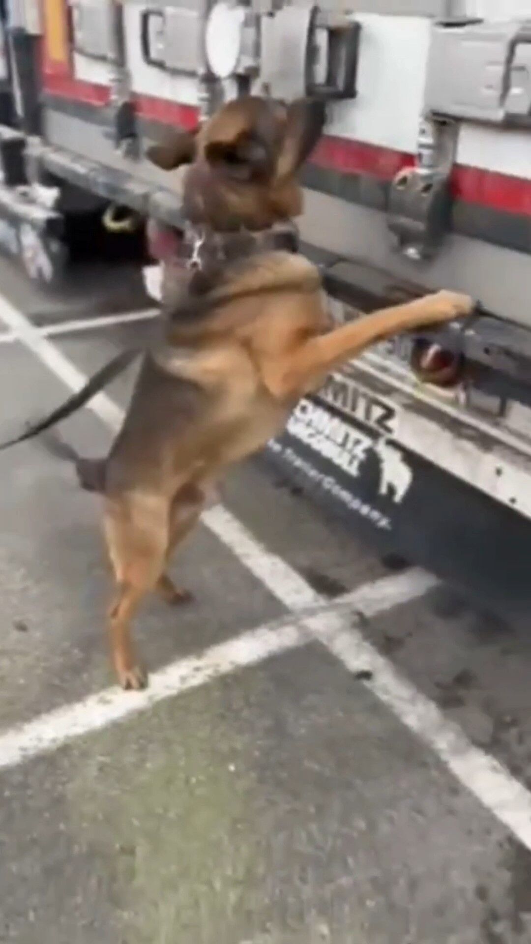 Çiçek Tırında 1.4 Milyon Euroluk Uyuşturucu! (1)