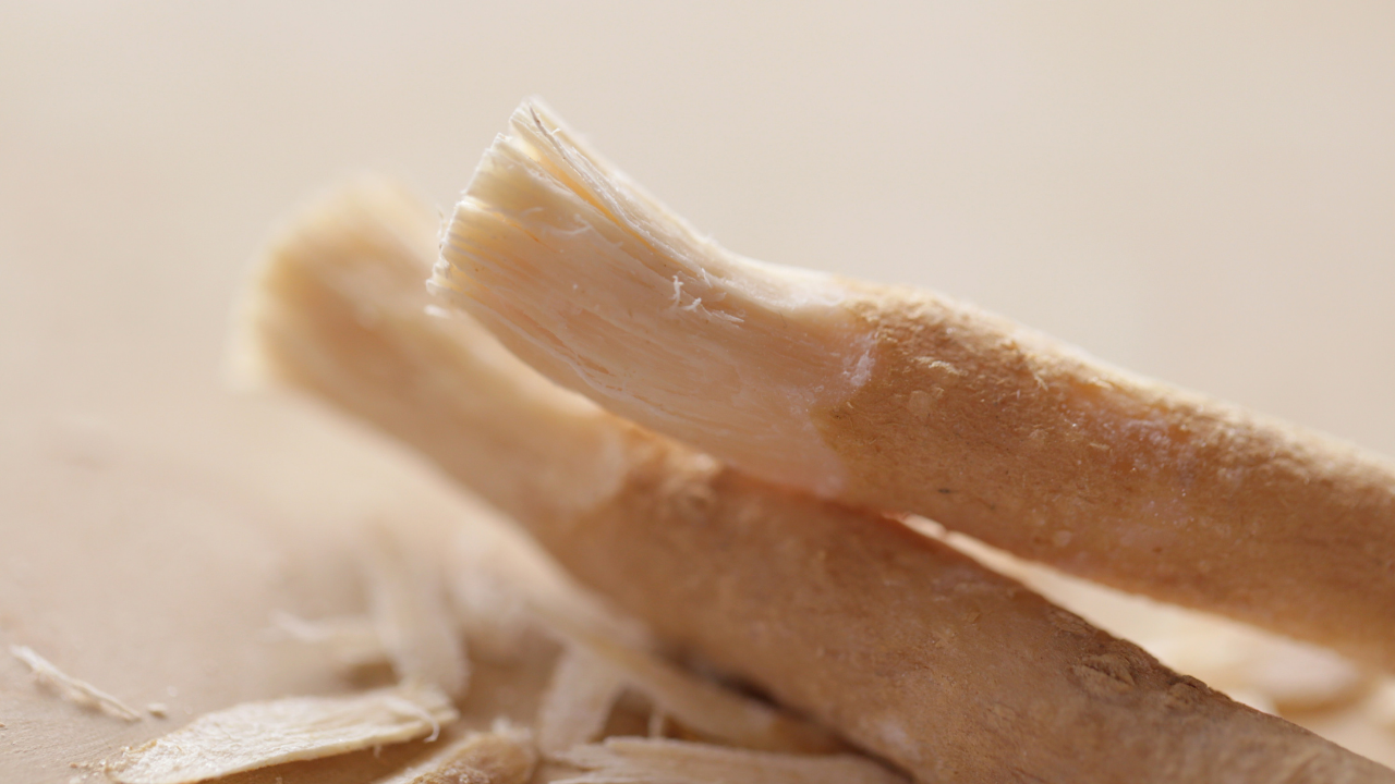 Diş Fırçalama Misvak