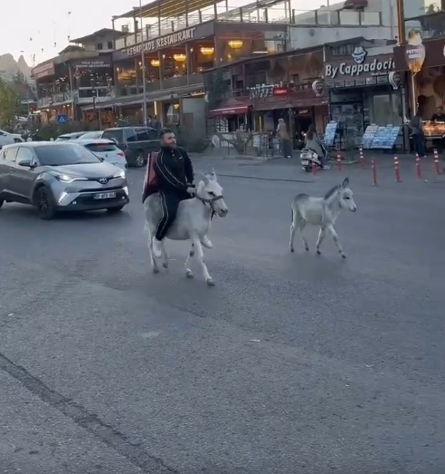 Ehliyeti Kaptırdı, Siparişe Eşekle Çıktı! (3)