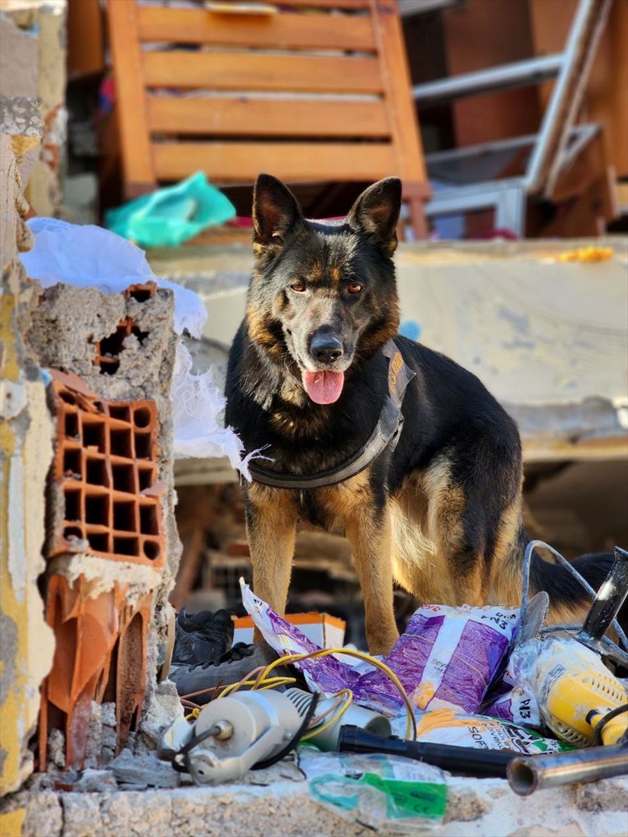 Hatay'ın Sessiz Kahramanı 'Gece'ye Veda, 'Vondi'ye Merhaba Nöbet Devri Tamam!