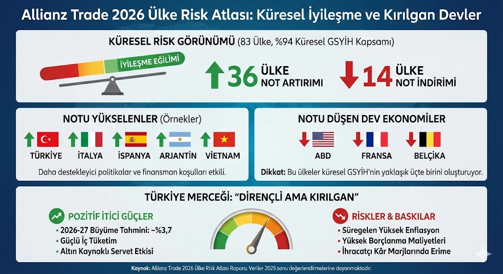 Küresel Risk Infog