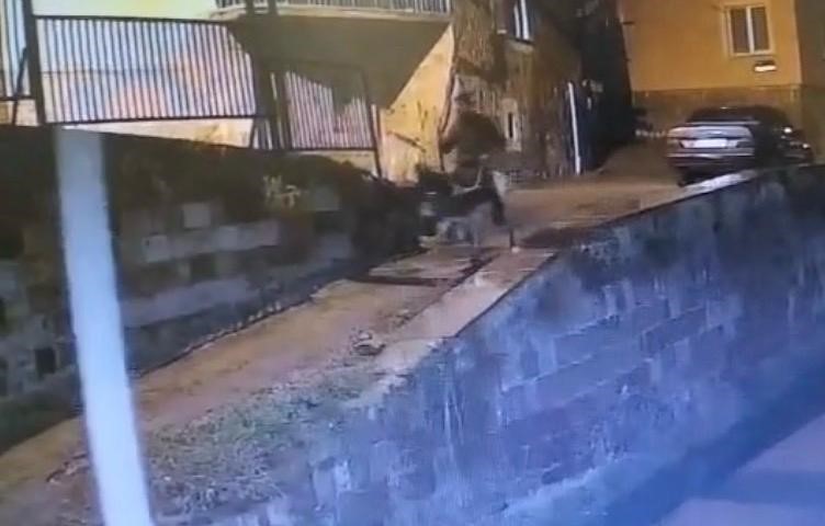 Kuyumcusoygunuifade110226 (1)