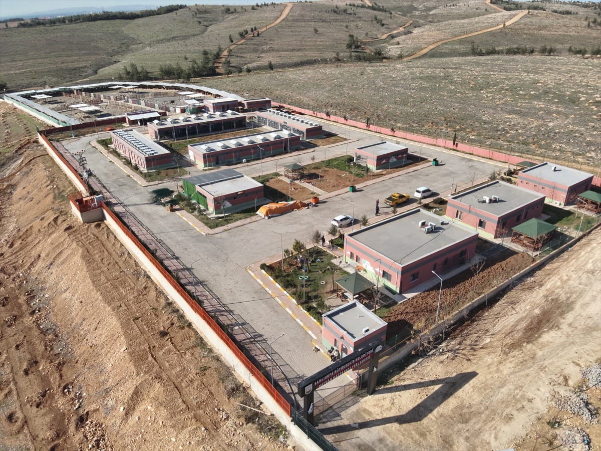 Şanlıurfadasokakköpeğikalmadı23