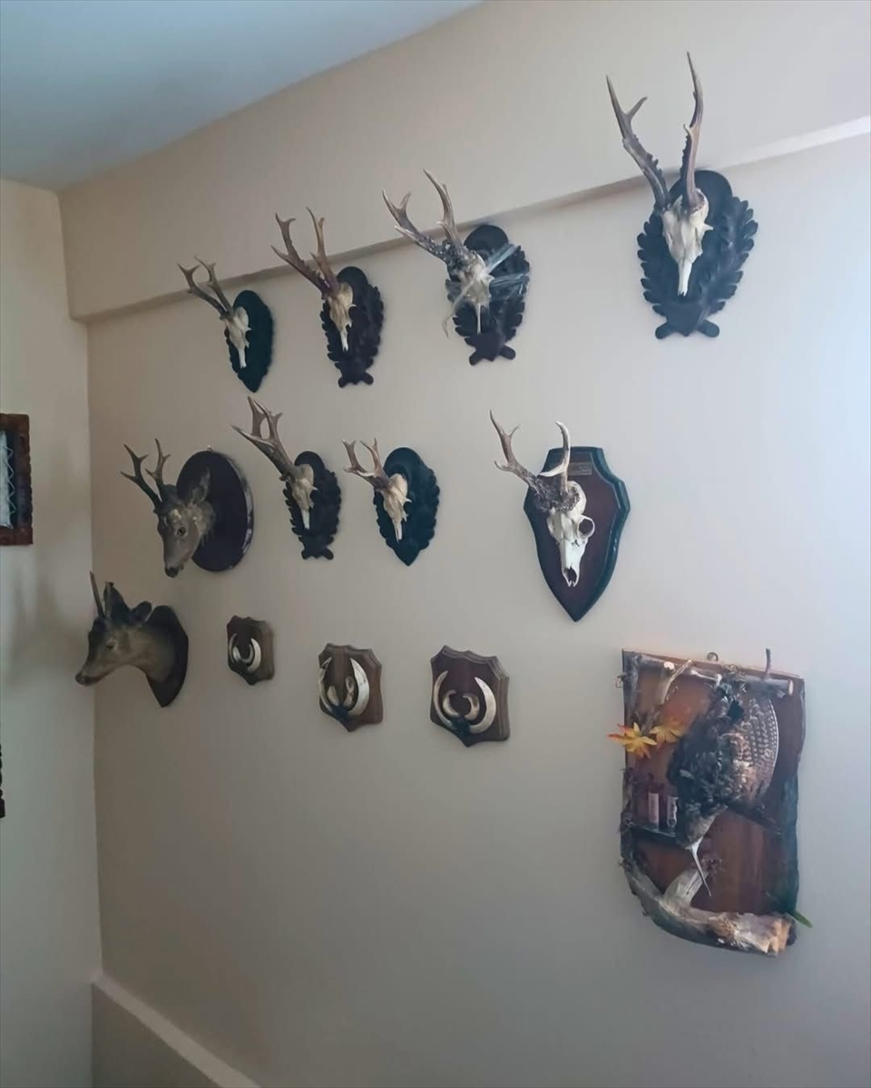 Tekirdağ'da Ev Değil Müze 40 Parçaya El Kondu (3)