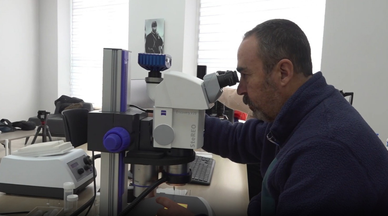 Türk Bilim Insanları Yeni Bir Böcek Türü Keşfetti! (2)