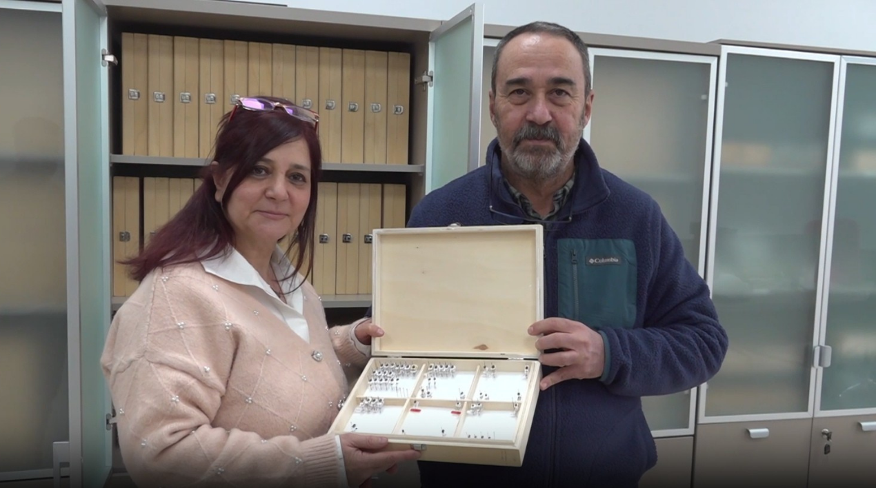 Türk Bilim Insanları Yeni Bir Böcek Türü Keşfetti!