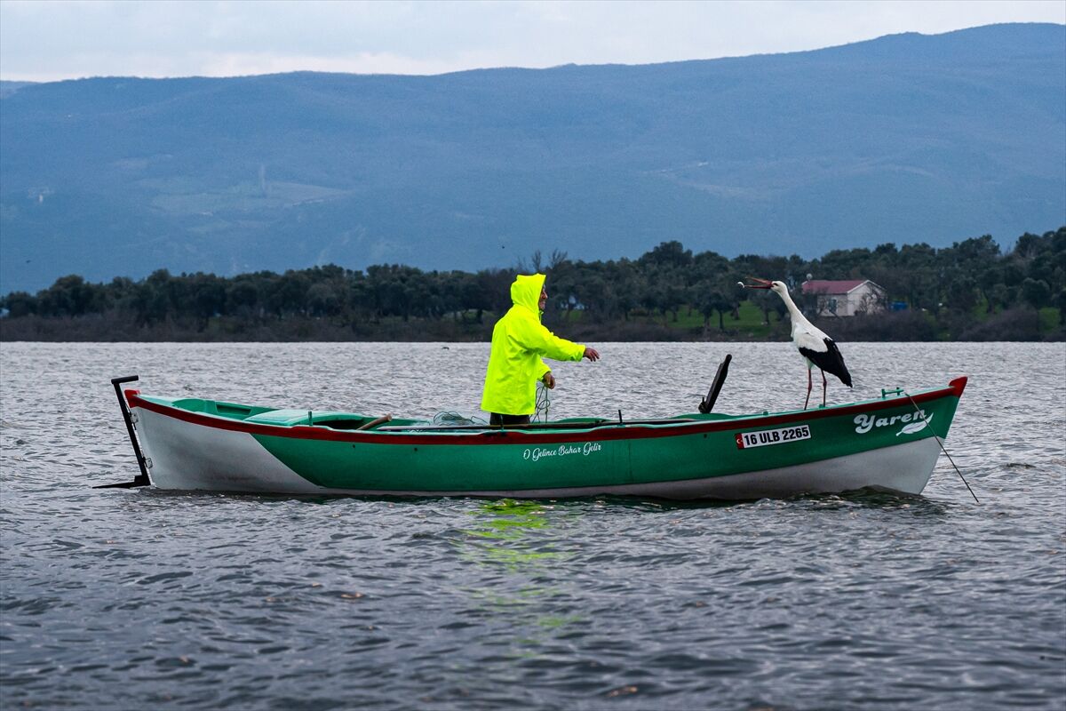 Beklenen kavuşma gerçekleşti: Yaren leylek 15. kez Bursa'ya döndü