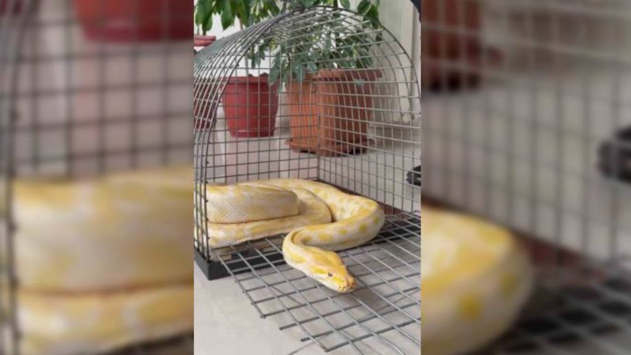 Yeni Proje 2026 02 10T091837.014