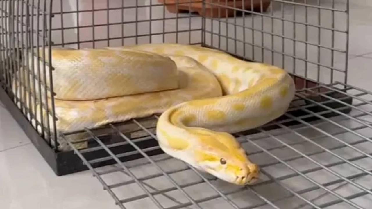 Yeni Proje 2026 02 10T091853.743