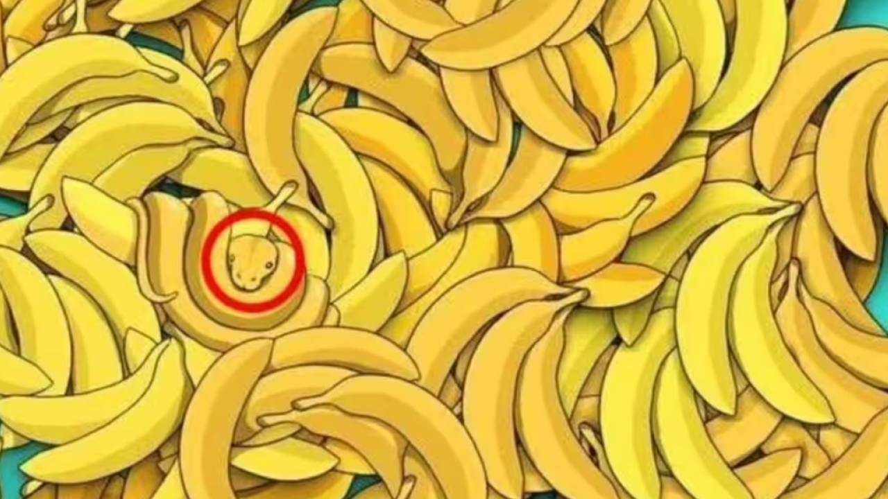 Yeni Proje 2026 02 11T152223.846