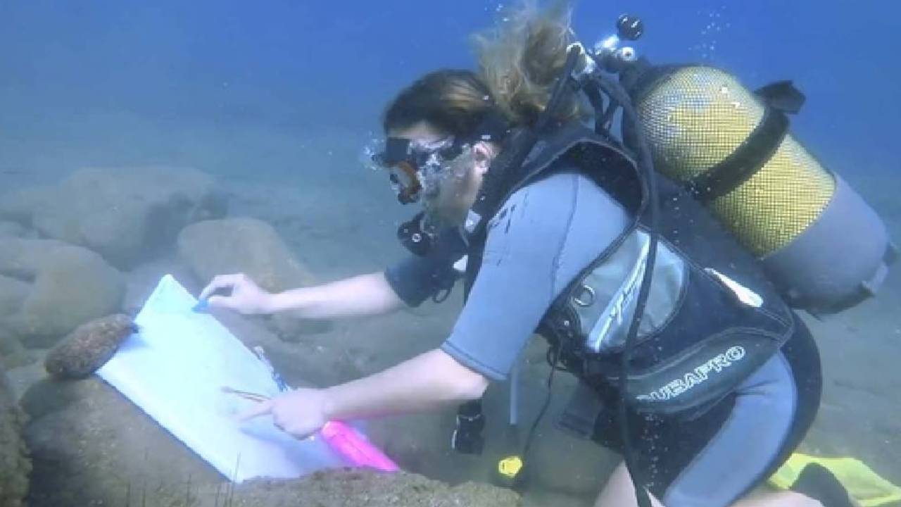 Yeni Proje 2026 02 12T150439.423