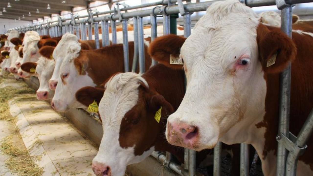 Yeni Proje 2026 02 12T162103.209