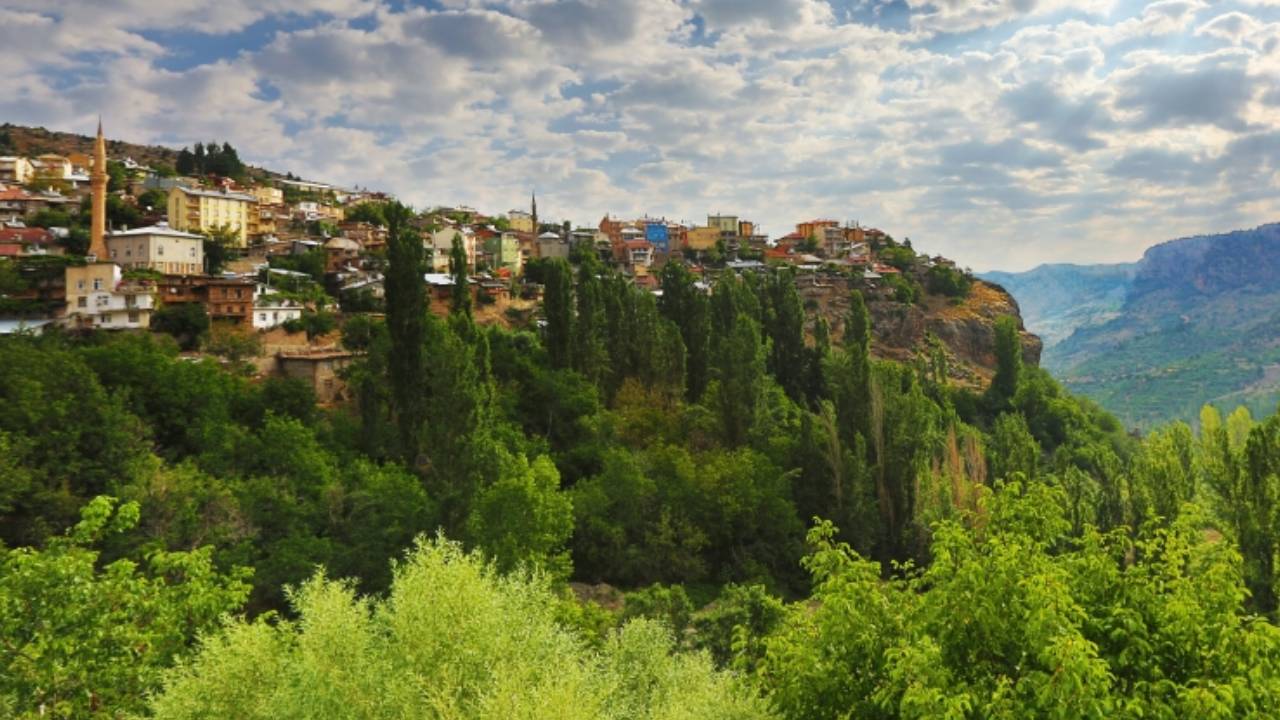 Yeni Proje 2026 02 19T133719.497