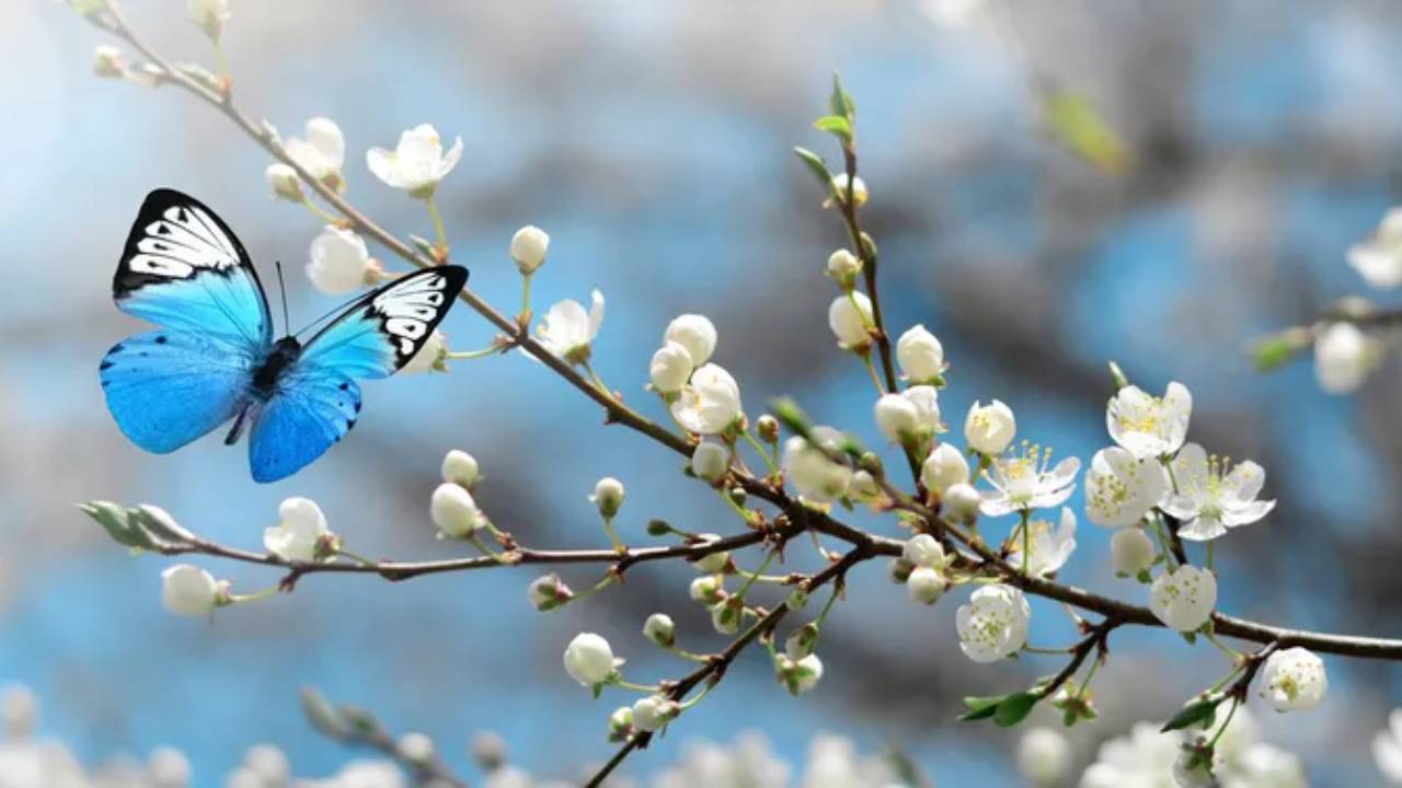 Yeni Proje 2026 02 20T112501.536