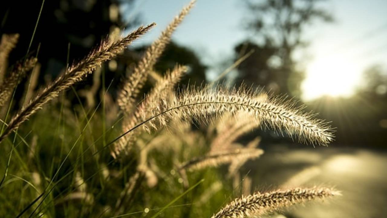 Yeni Proje 2026 02 20T112515.622