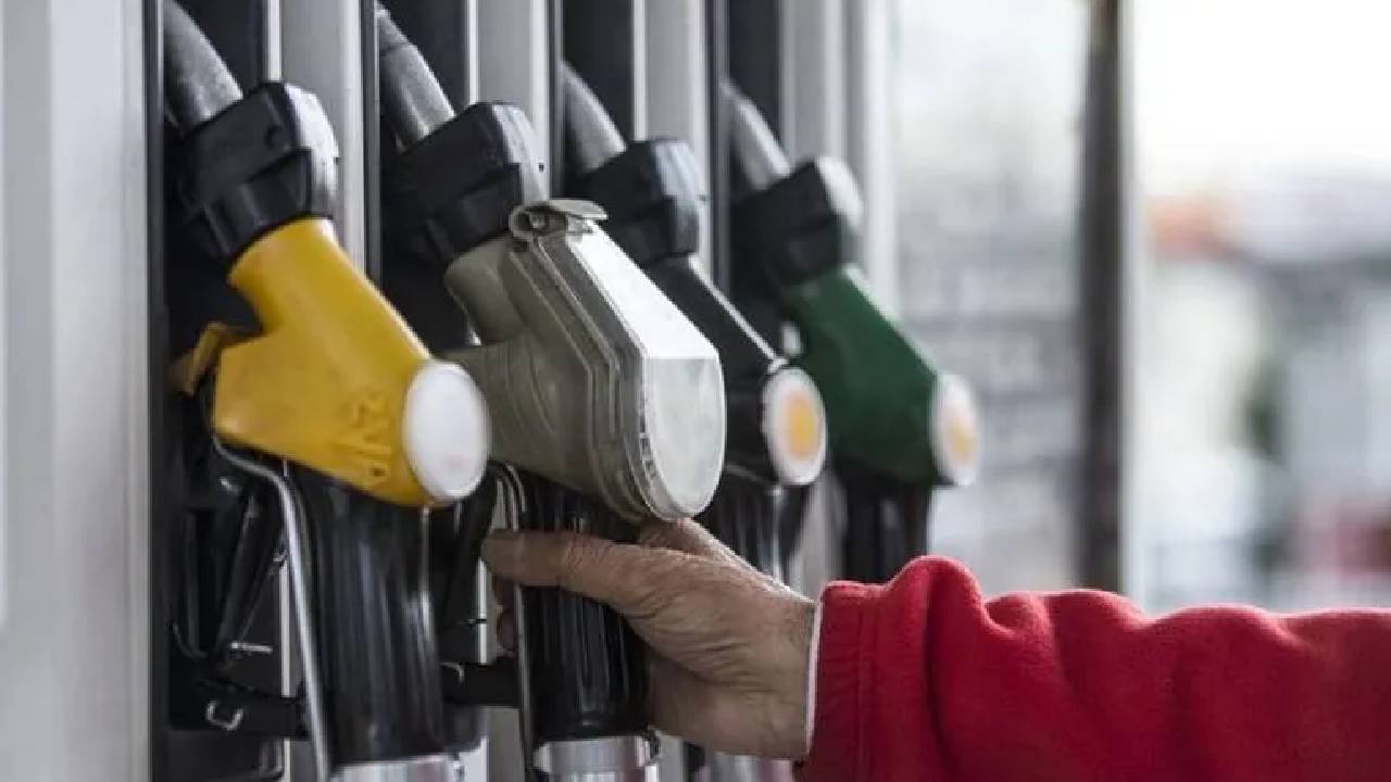 Yeni Proje 2026 02 24T091428.305-1