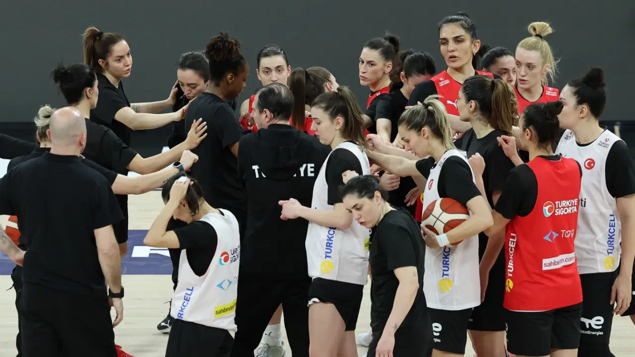 3E8Aa511 8D70 4D38 9B68 47711E8Ac4B6