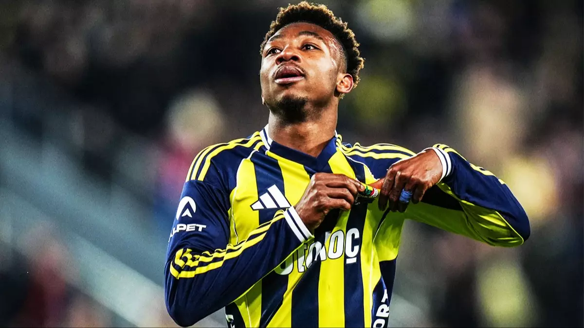 Afrikadan Avrupaya Herkes 241 2 41