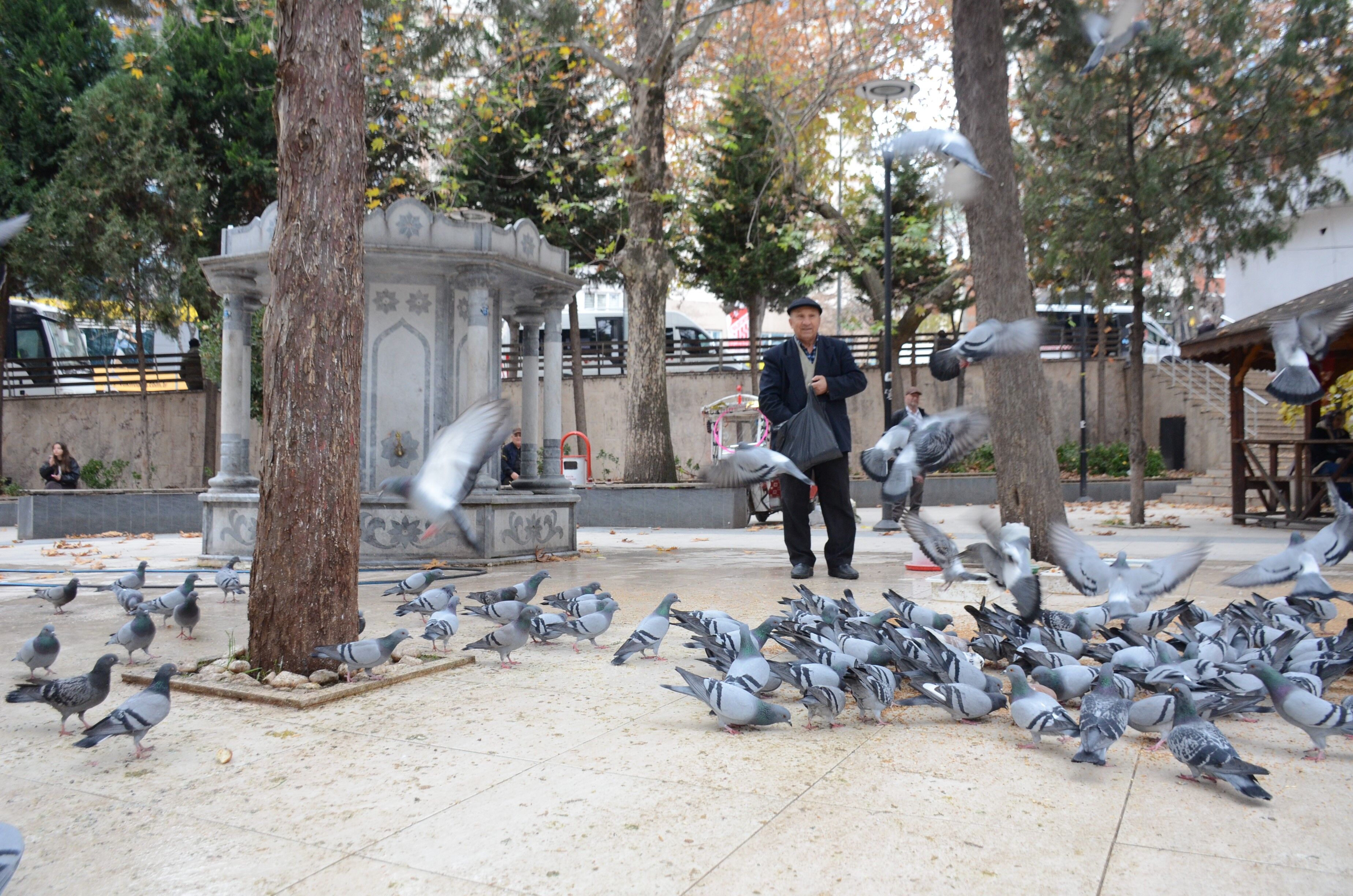 Bayramda Bile Güvercin Dostlarını Unutmadı! (2)