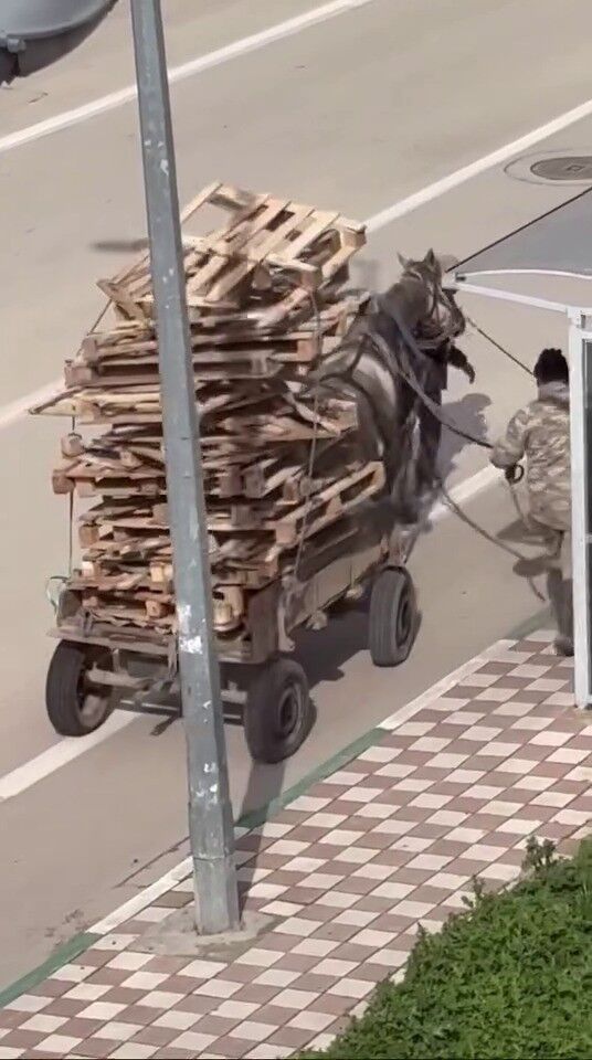 Bursa'da Vicdan Sızlatan Görüntü Yük Altında Ezilen At Yürek Burktu! (4)