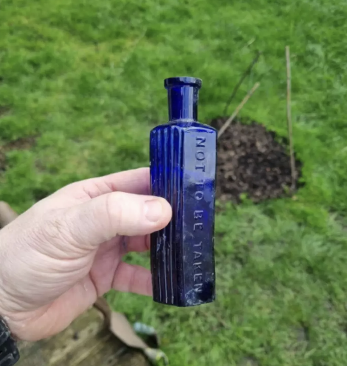 Cinayetiçözenköpek56623