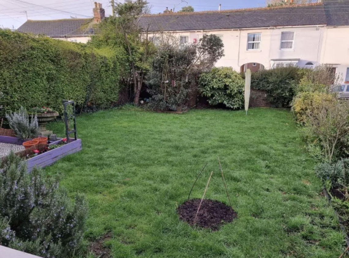 Cinayetiçözenköpek56624