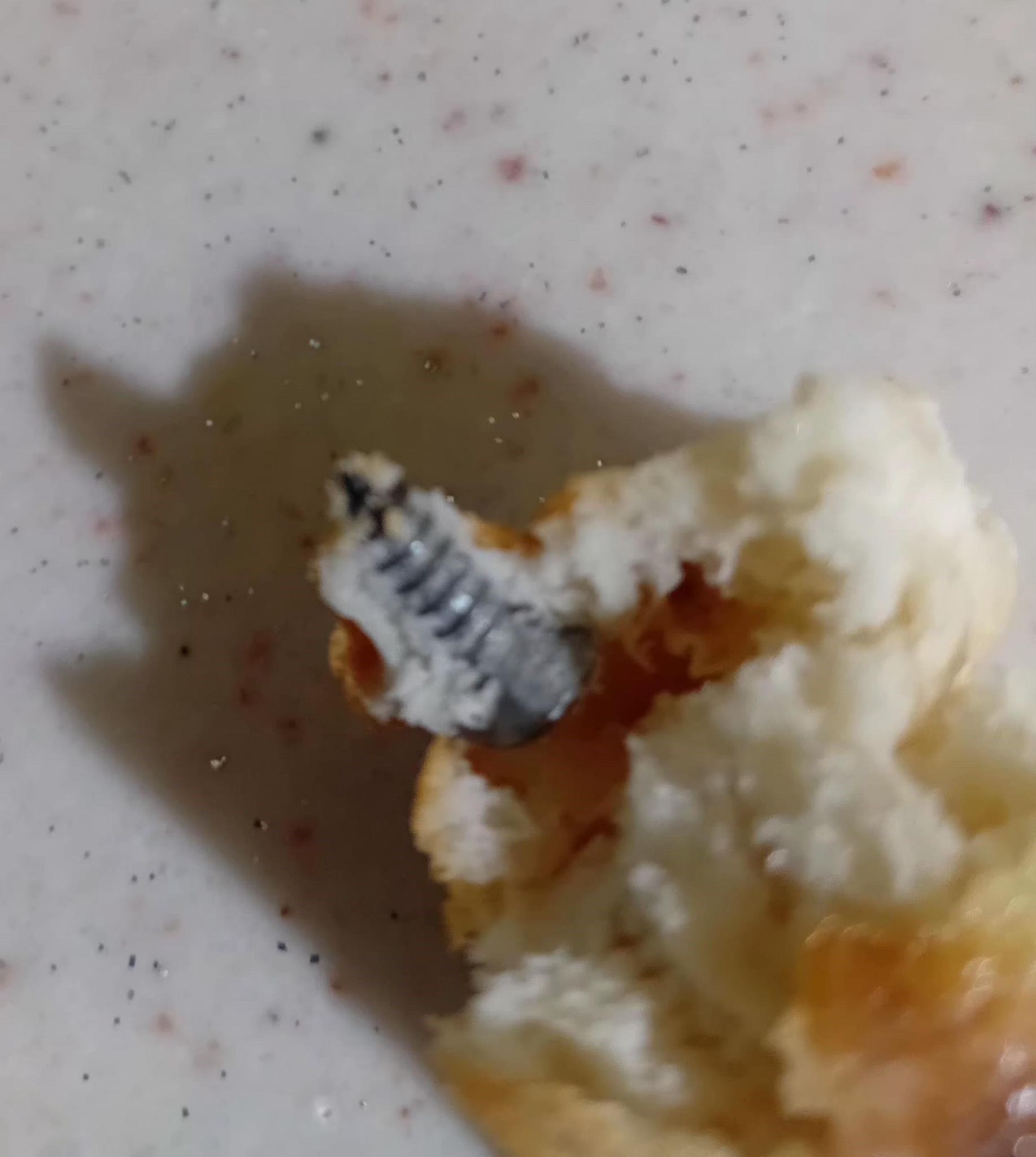 Ekmeğin Içinden Vida Çıktı (2)