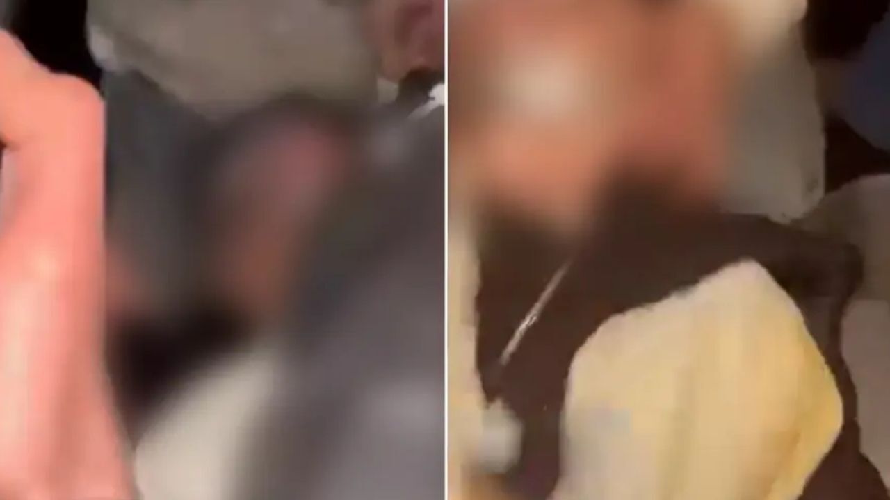 Fatih Akran Zorbalığı1