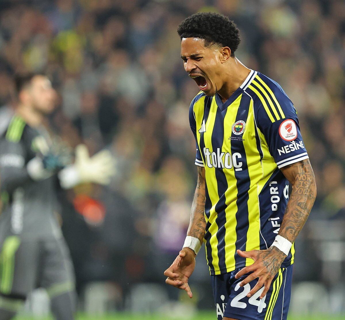 H C Uc Nz Wk A Ayesh