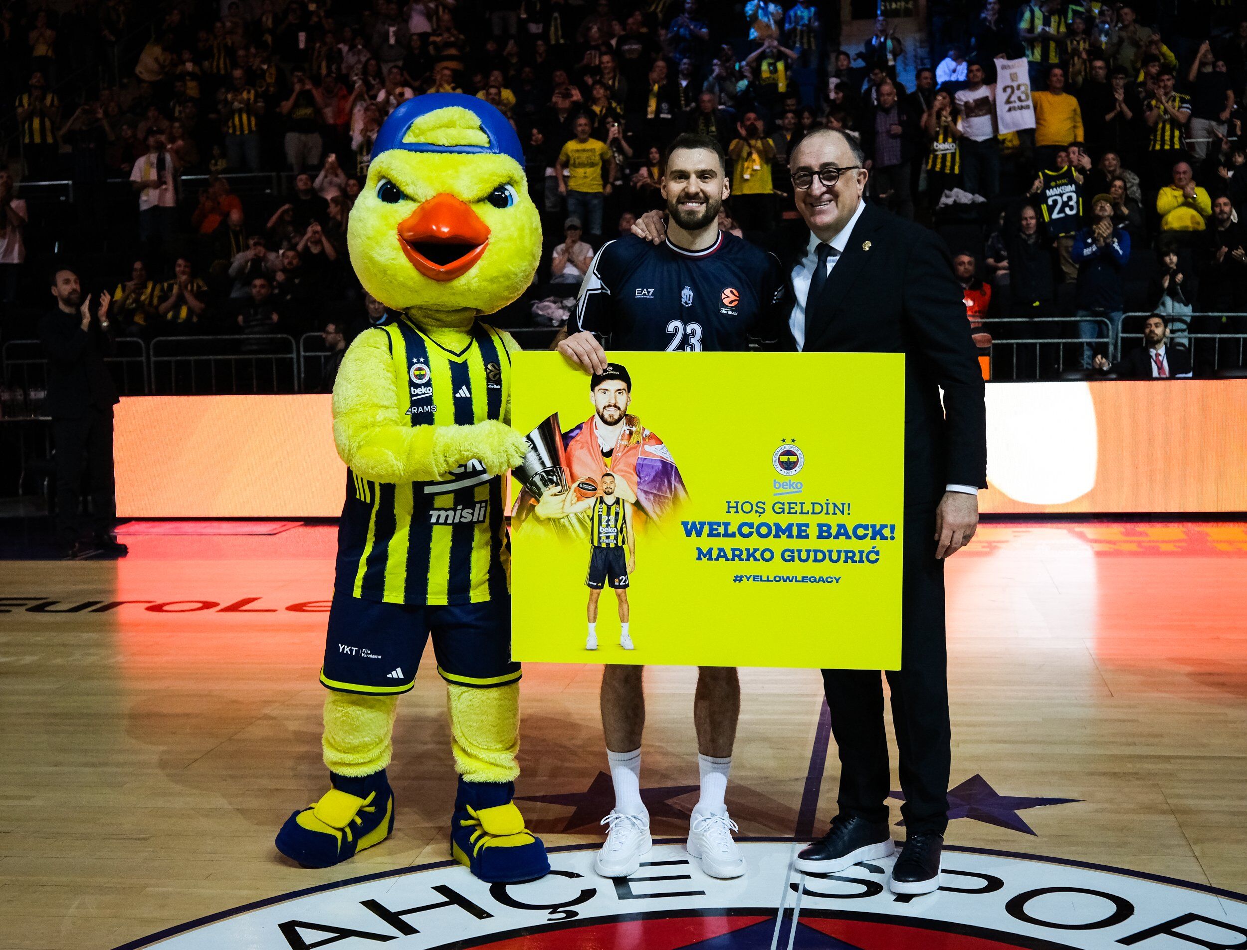 H D3Z H84Bo A E Lg7X