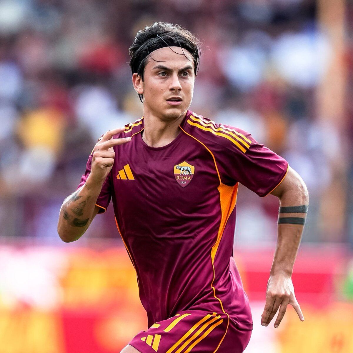 H E M78 D1 Xg A A E Tt I