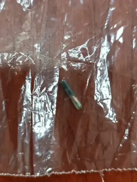 Kavurmadan Çıkan Çip