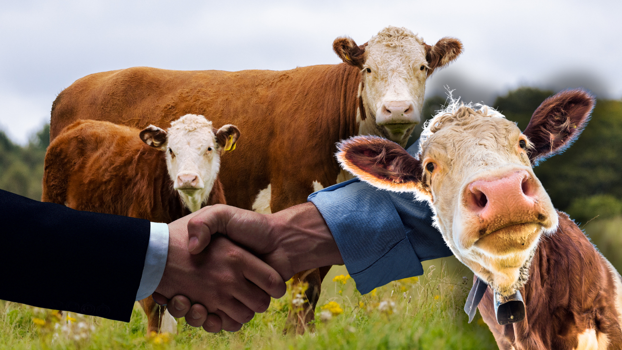 Kurban Bayramı Ne Zaman Kapak-1