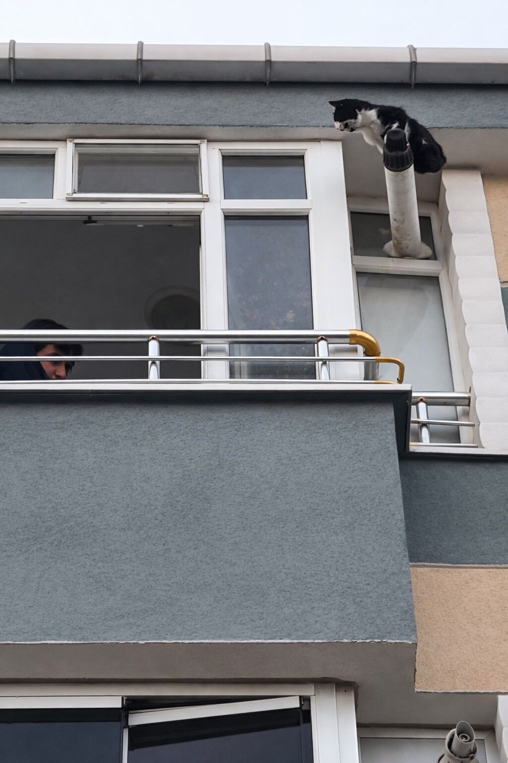 Muratlı'da Gaz Borusunda Mahsur Kalan Kedi Kurtarıldı (4)